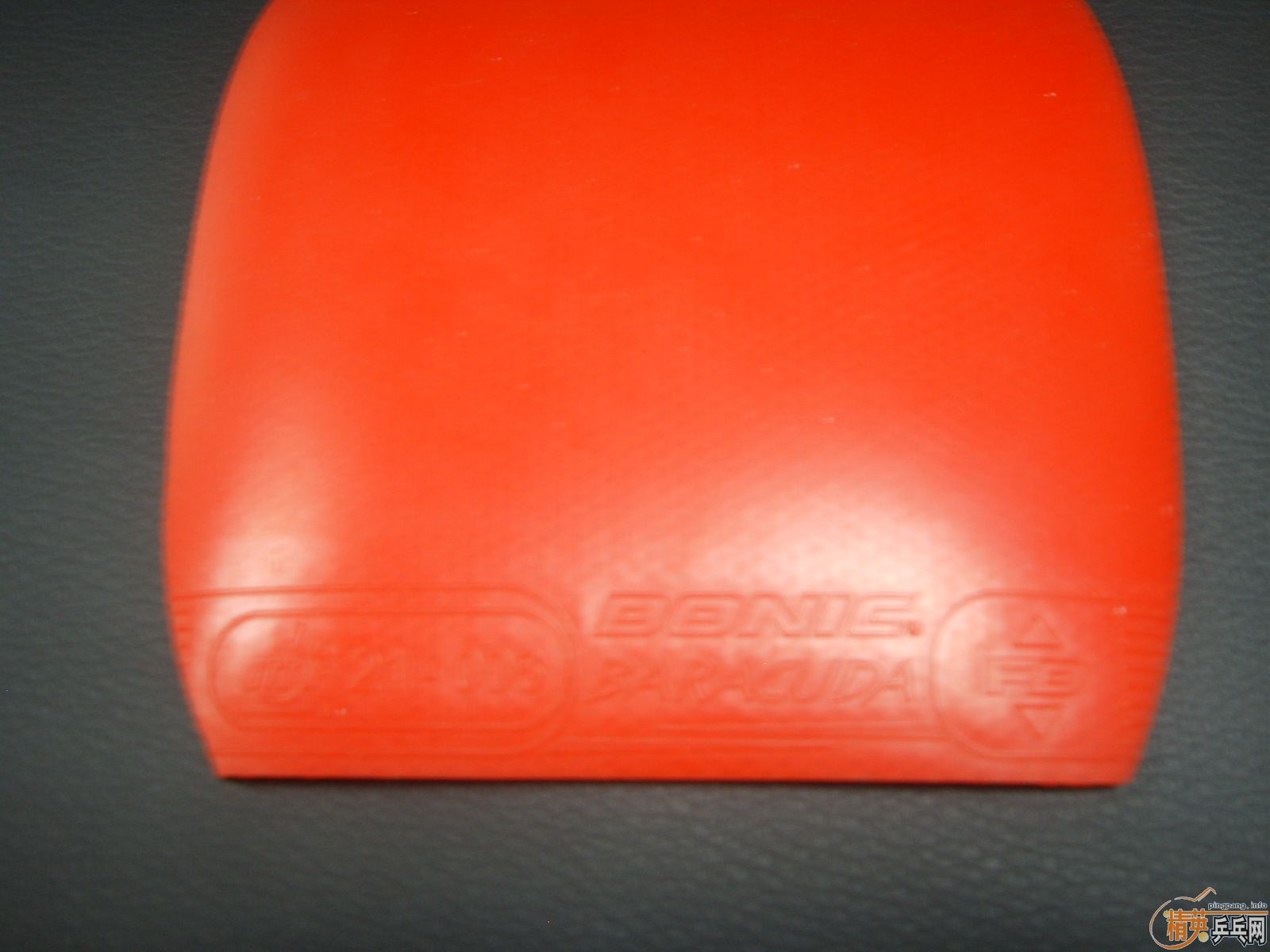 ��DONIC BARACUDA ��ֱ����