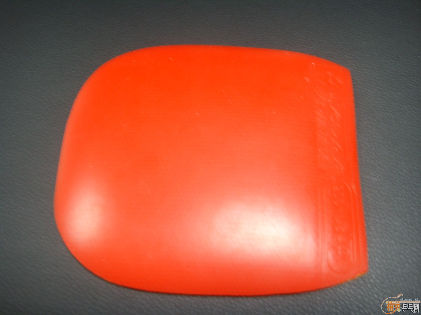 ��DONIC BARACUDA ��ֱ����