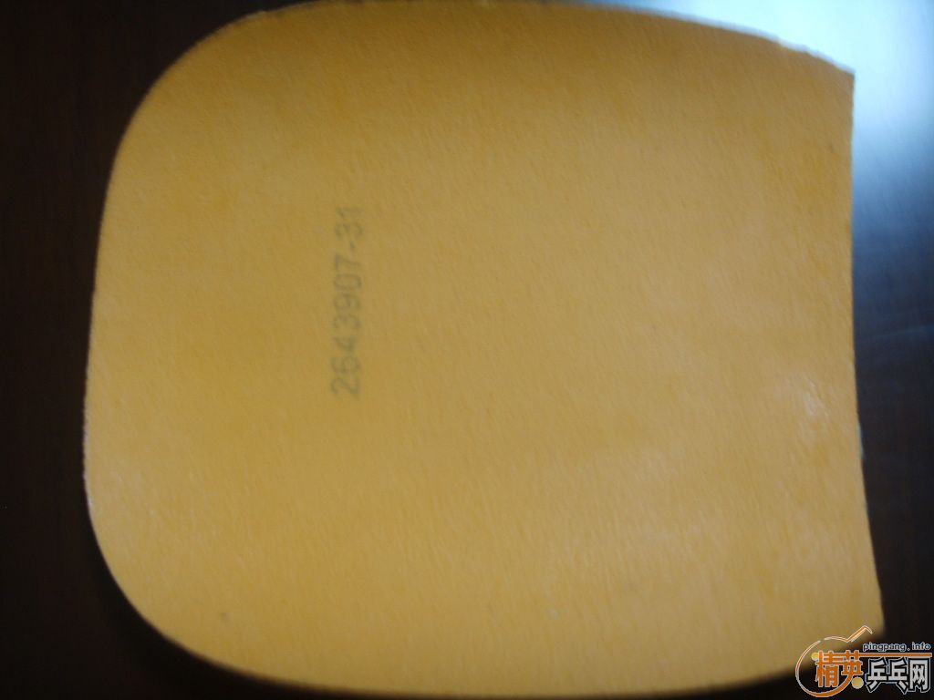 ��DONIC BARACUDA ��ֱ����