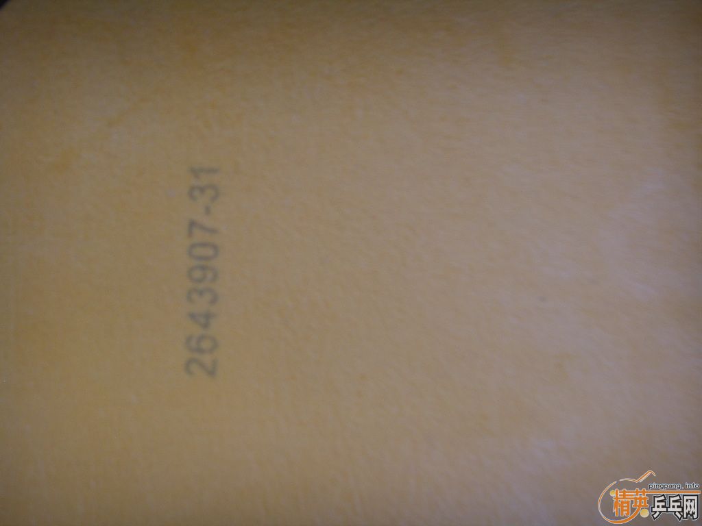 ��DONIC BARACUDA ��ֱ����