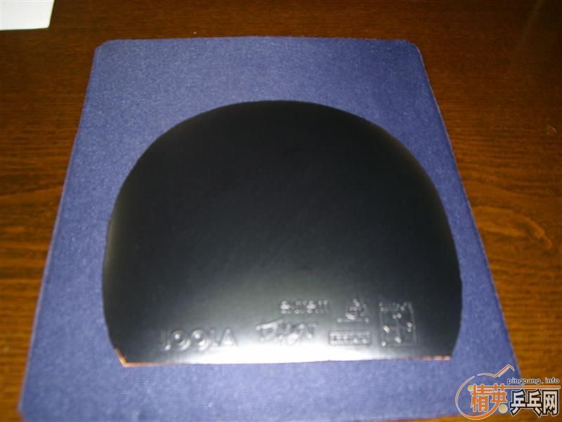 ��������JOOLA  ̽��