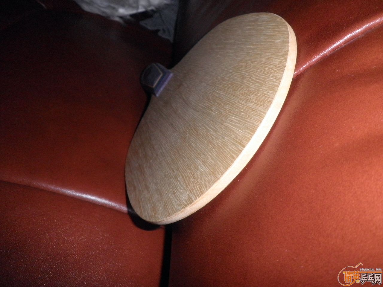 ר�Ĵ�OCCR���������ϵ�AVLOX P555(��֧����)