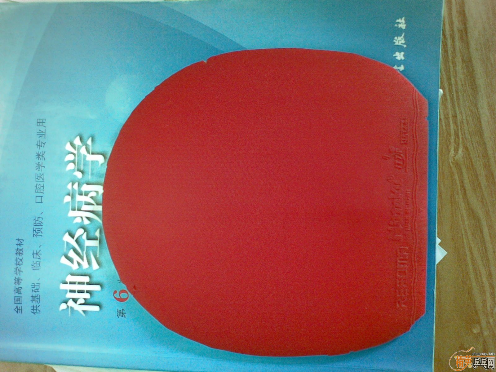 ���  bryce speed  ��Ƥ