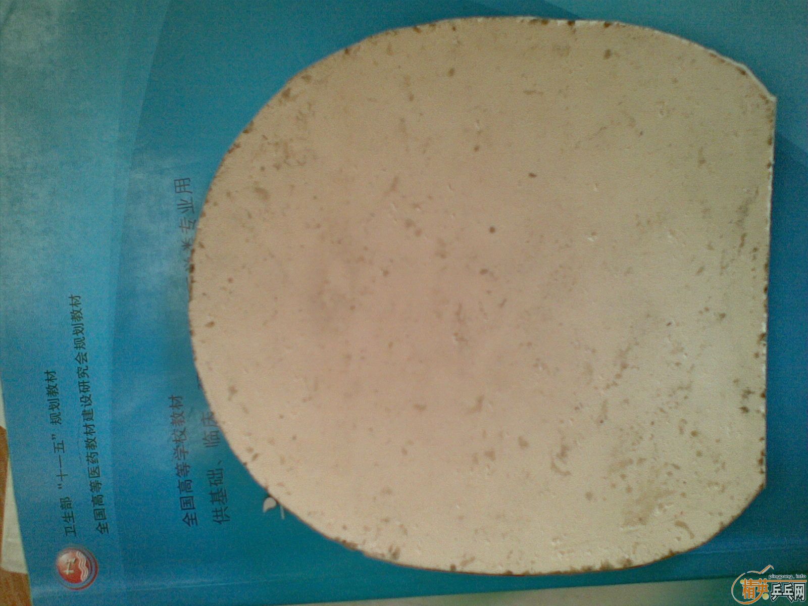 ��С����flextra�׽�