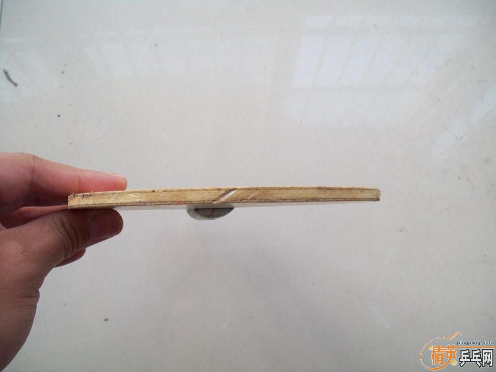 ����̼һֻ  350����