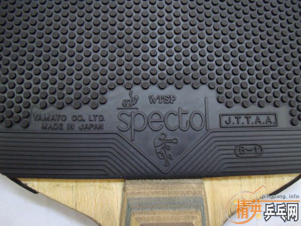 �� TSP��ɫ����=100Ԫ(�����)