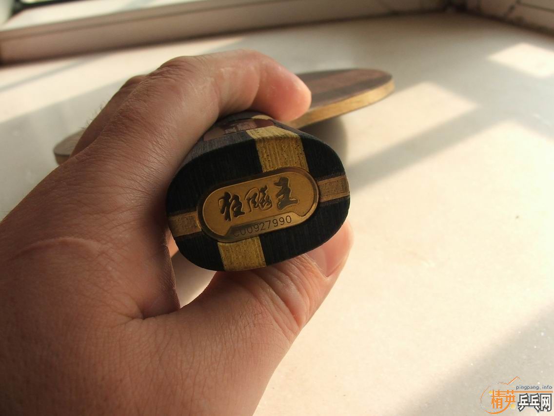 ��09���������Ӣ�д���520���ʡ�