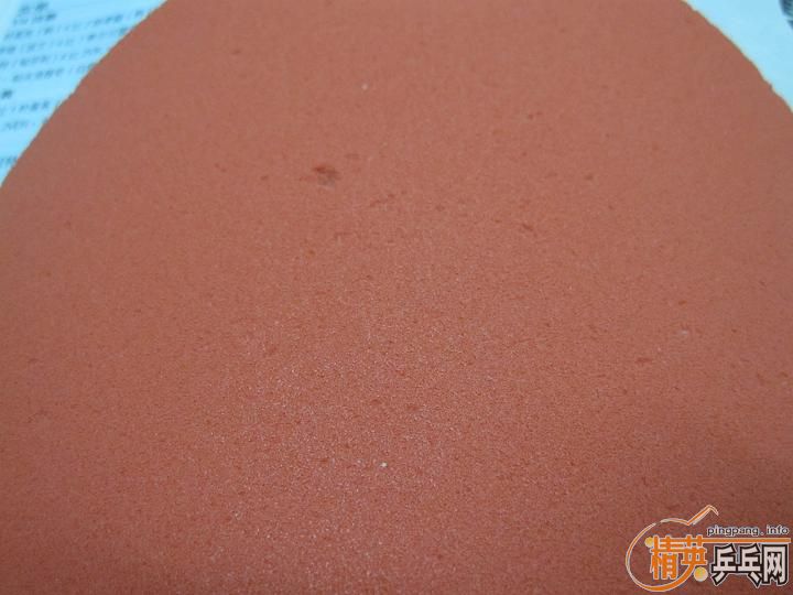 ~~~~~~~~����ƬNEOʡ��~~~05FX~~~~