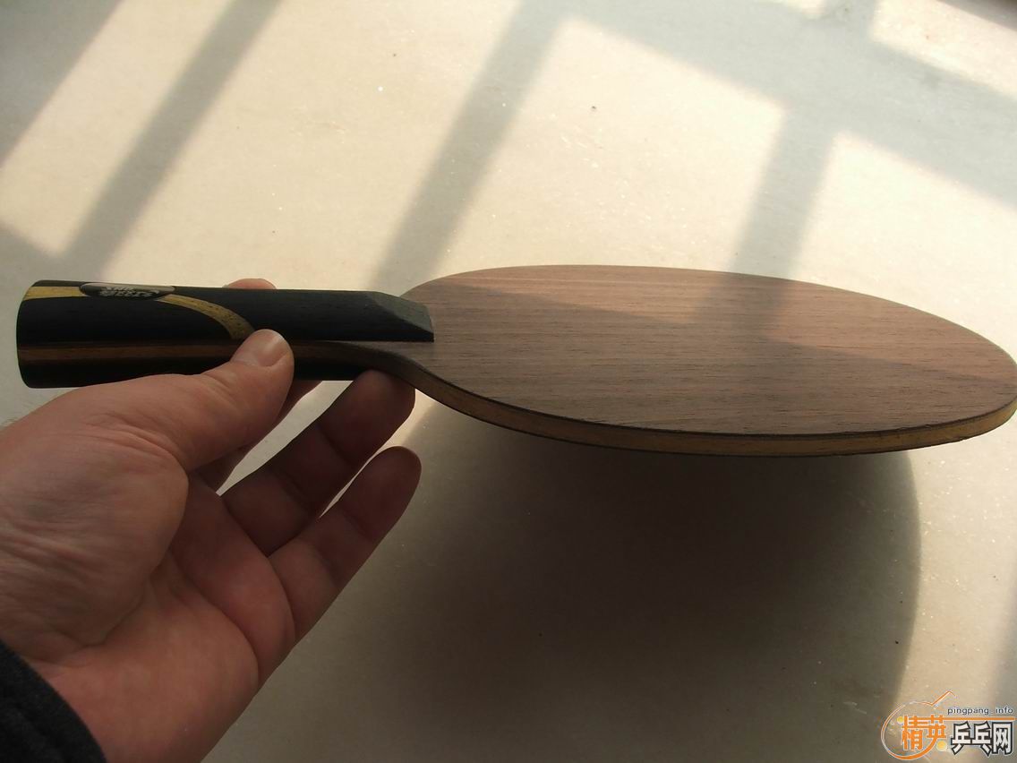 ��09���������Ӣ�д���520���ʡ�