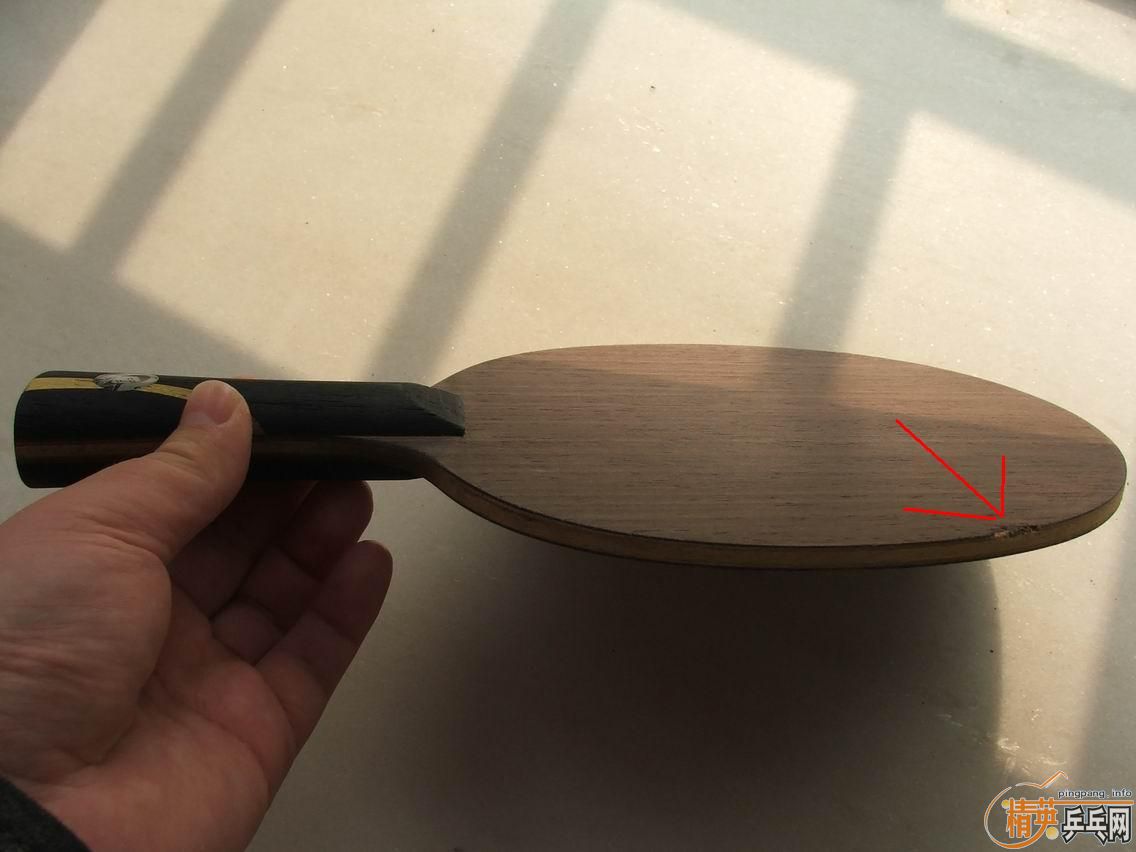 ��09���������Ӣ�д���520���ʡ�