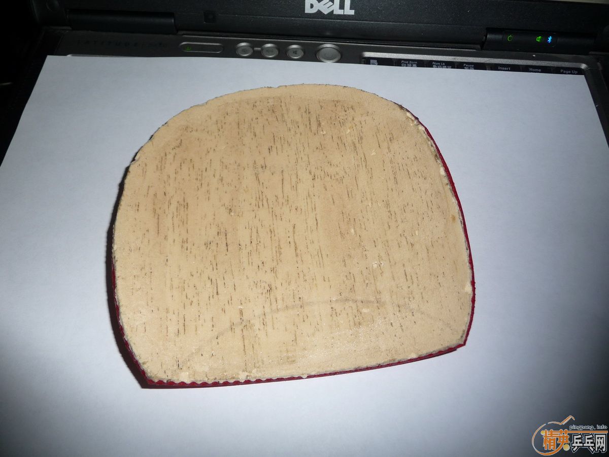 ���׽�Ķ����S1������