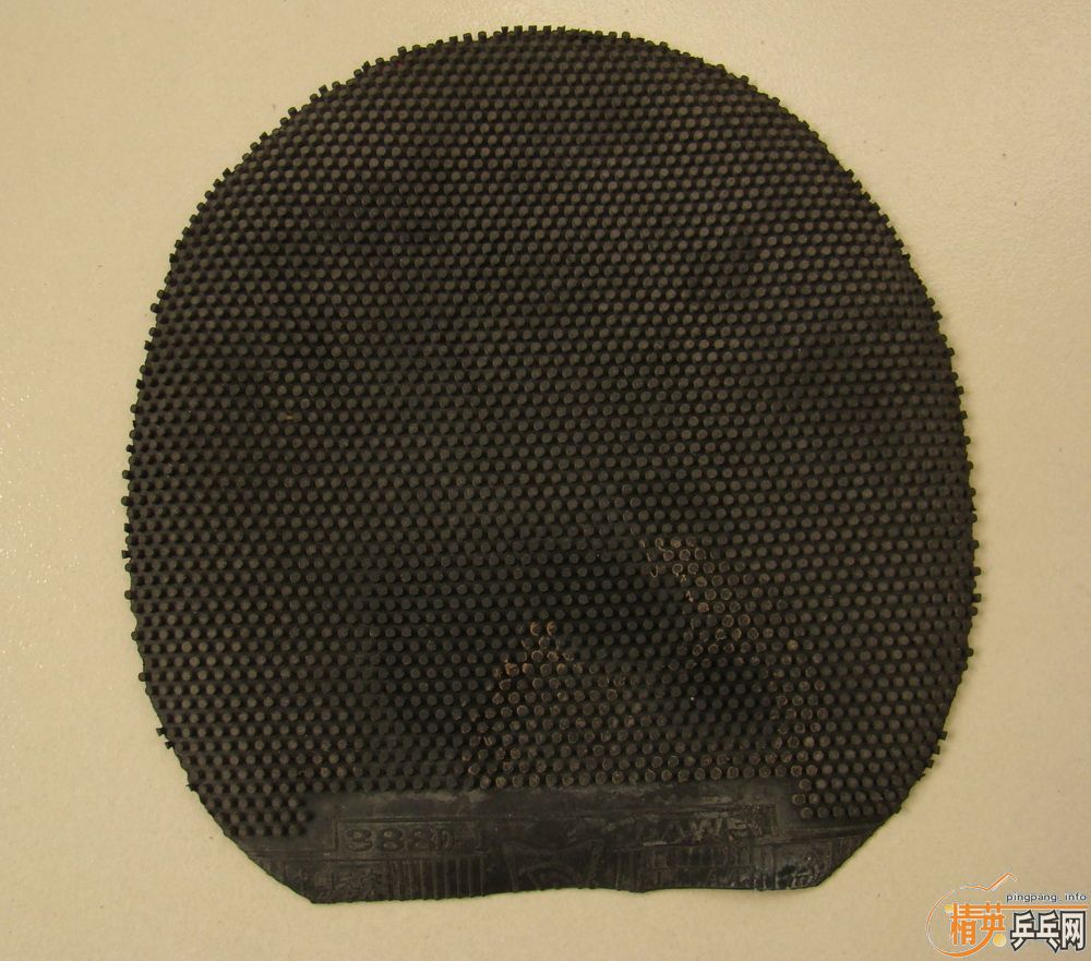 ֧�����������׽� ���� ���� ��������