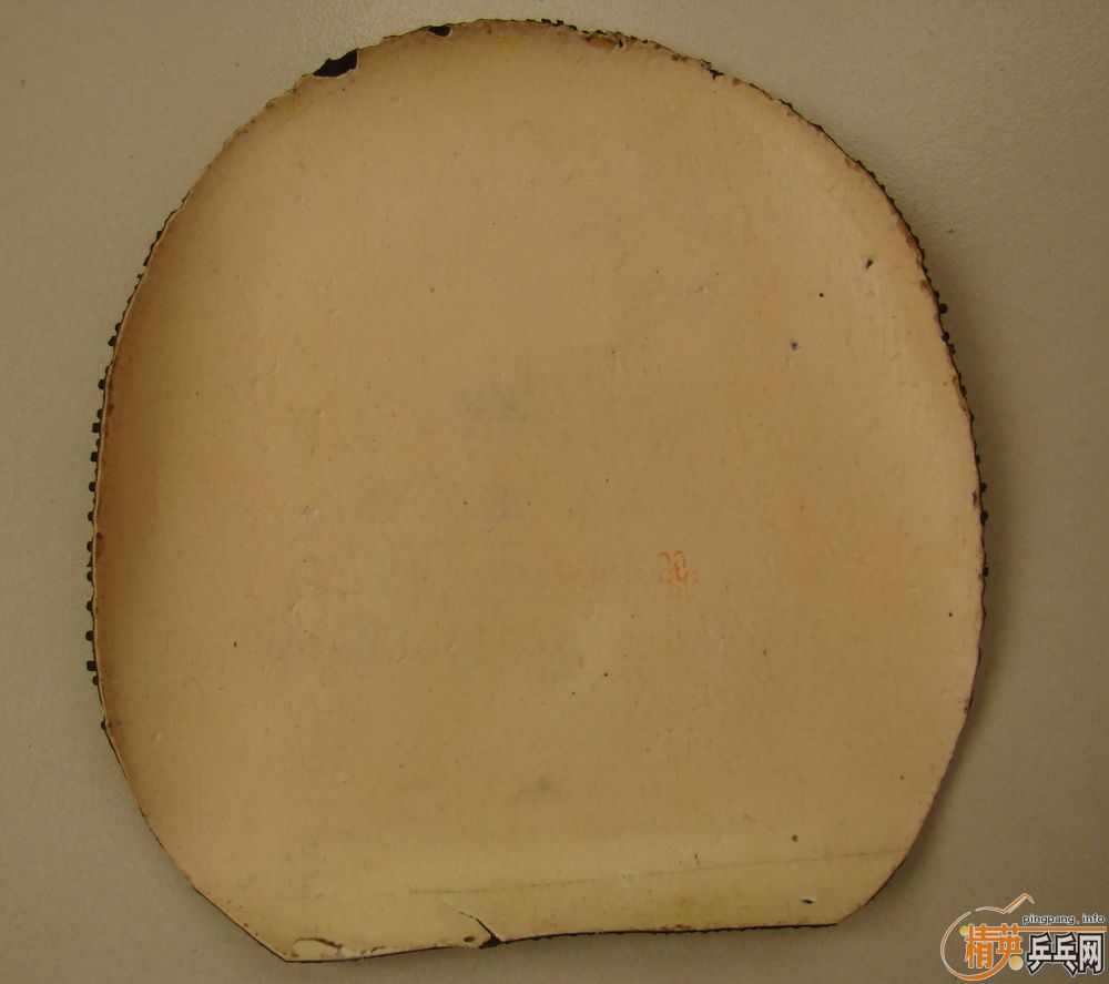 ֧�����������׽� ���� ���� ��������