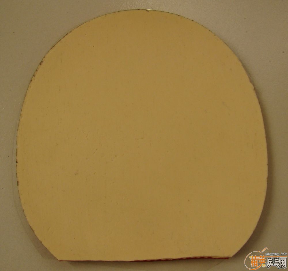 ֧�����������׽� ���� ���� ��������