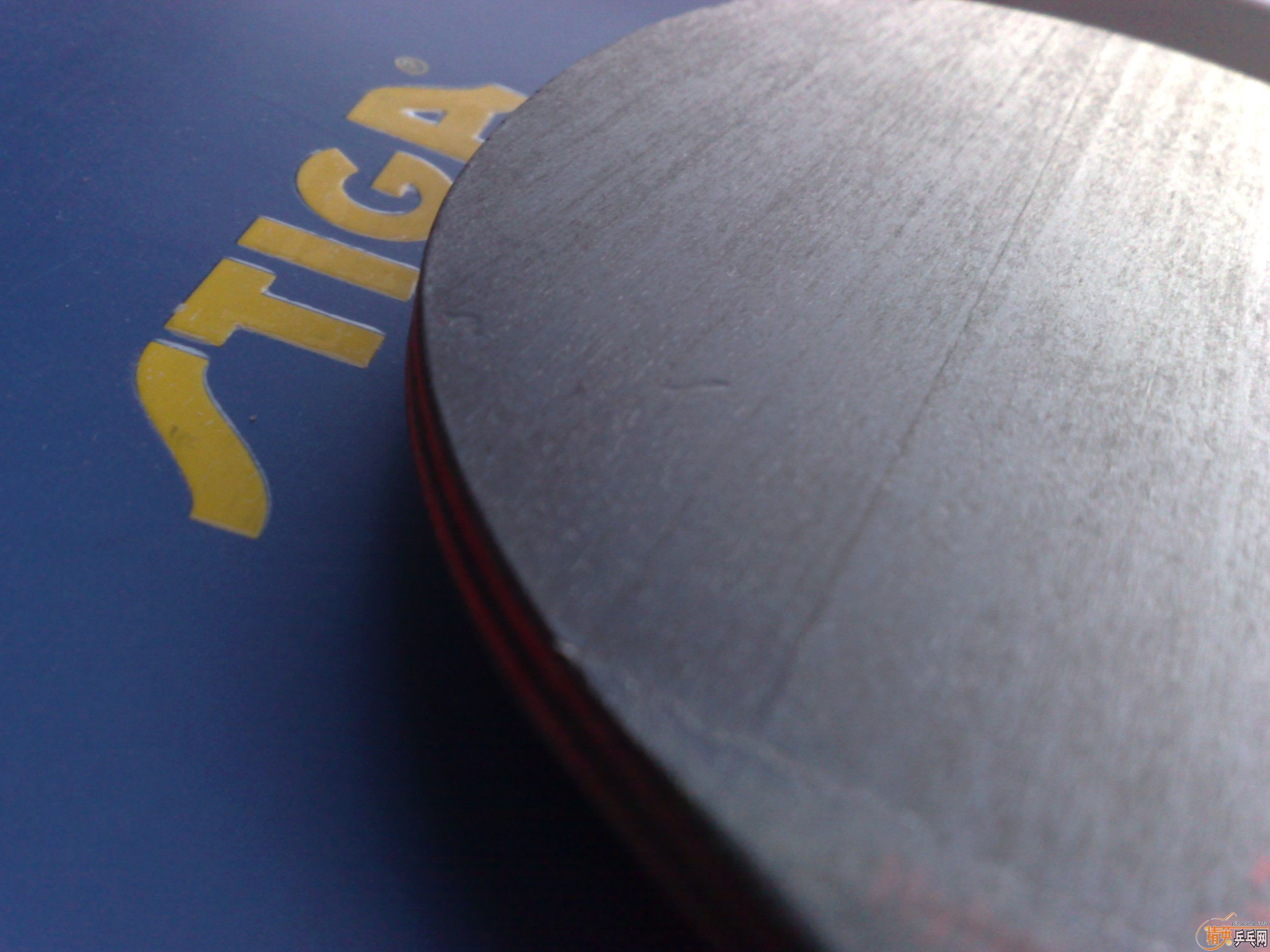 �л�����̼����91��