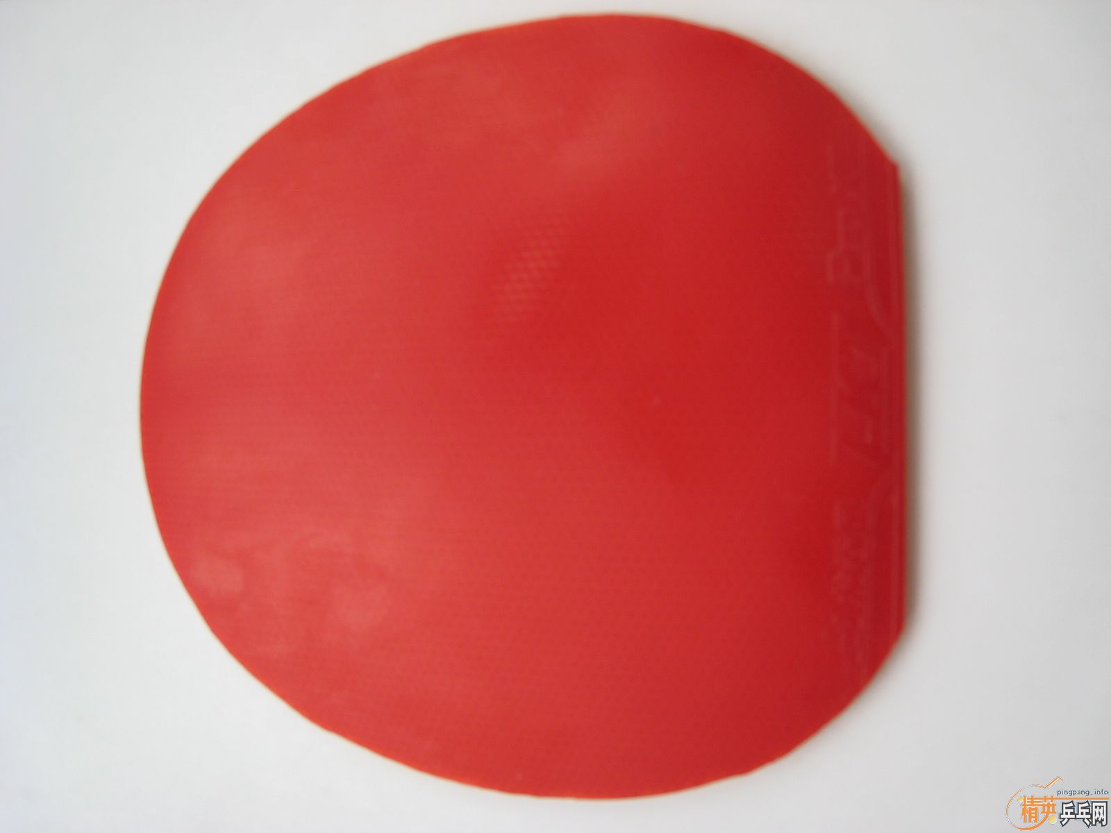 ���˳��տ�3��Ӳ��38����LKT��Ȧ�硢729FX�ݺ��׽���755��������4Ƭ������������80�����