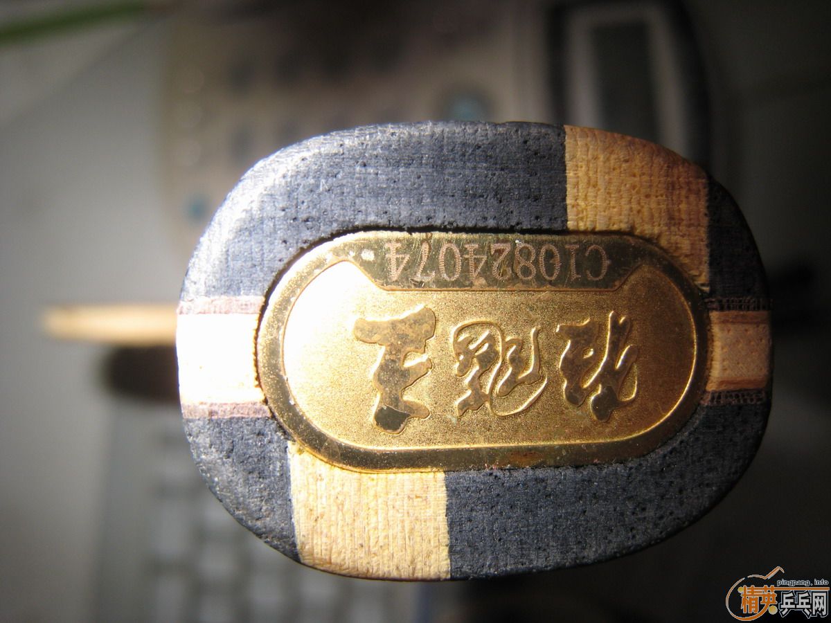 �����������գ�10��ֻ