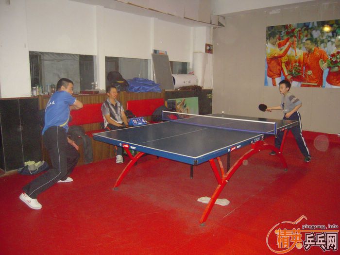 ��Ӣ�����ൺƹ�Ѿ��ֲ����ѻ�11.21ʮһ�·ݵ�����������ʵ