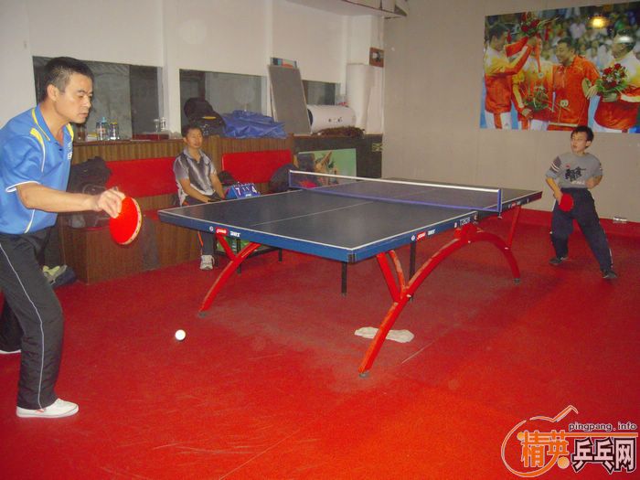 ��Ӣ�����ൺƹ�Ѿ��ֲ����ѻ�11.21ʮһ�·ݵ�����������ʵ