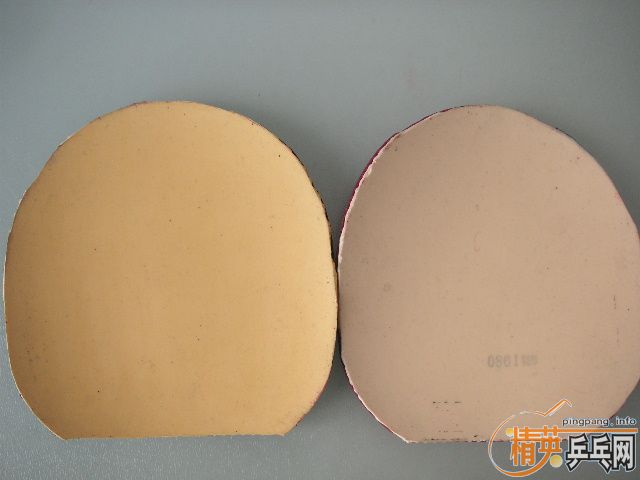 ���׳���ʵ��С����