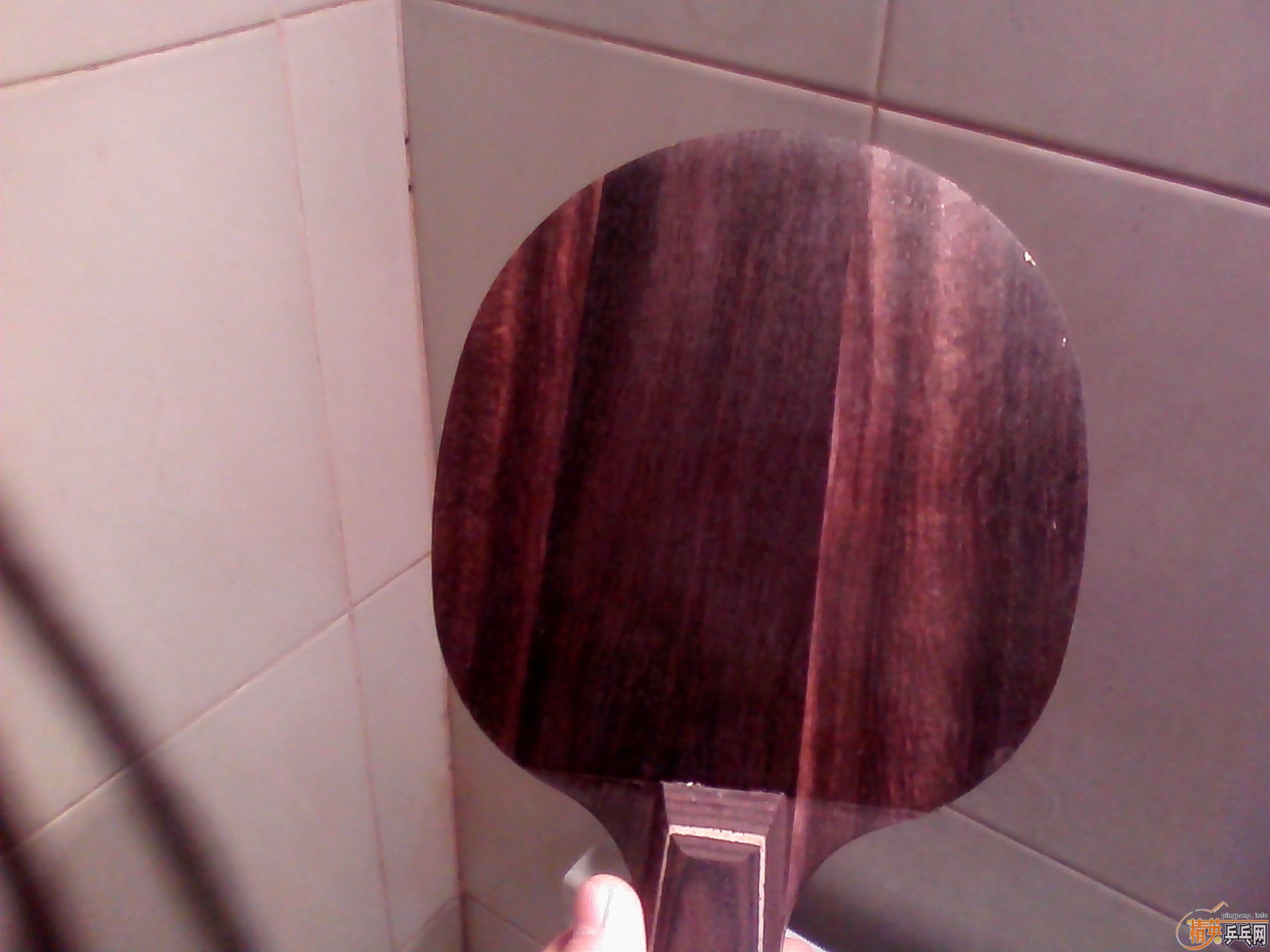 ŷ���̴�߻��壬����Ȥ�����ѽ���������