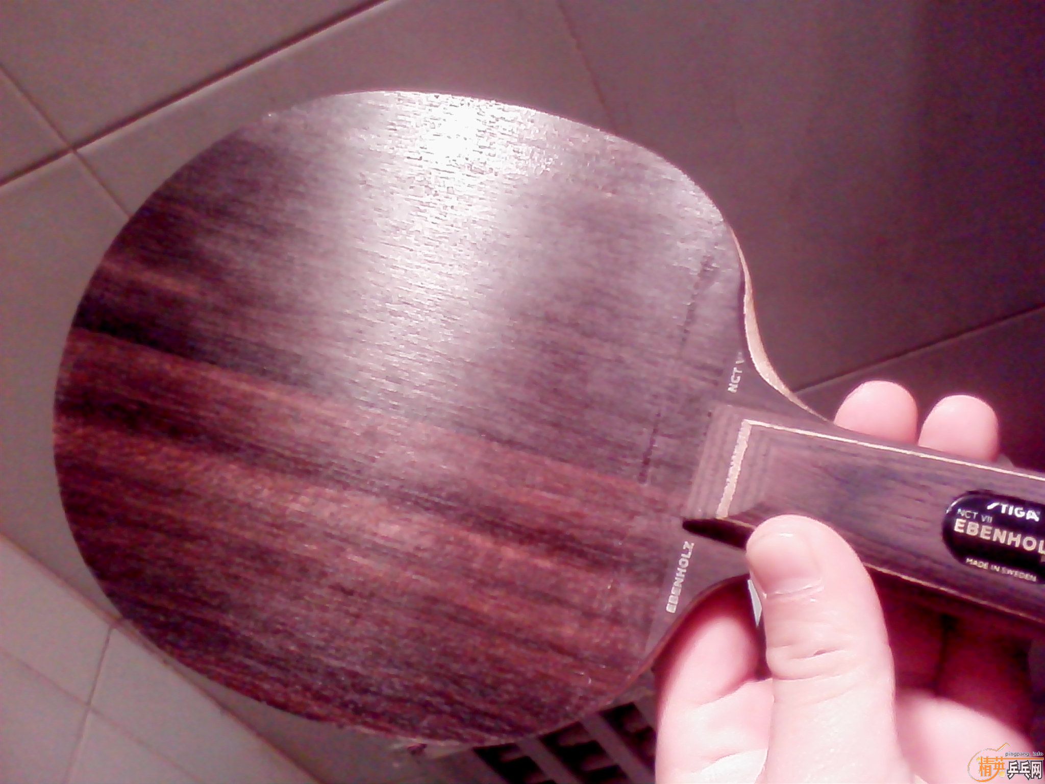 ŷ���̴�߻��壬����Ȥ�����ѽ���������