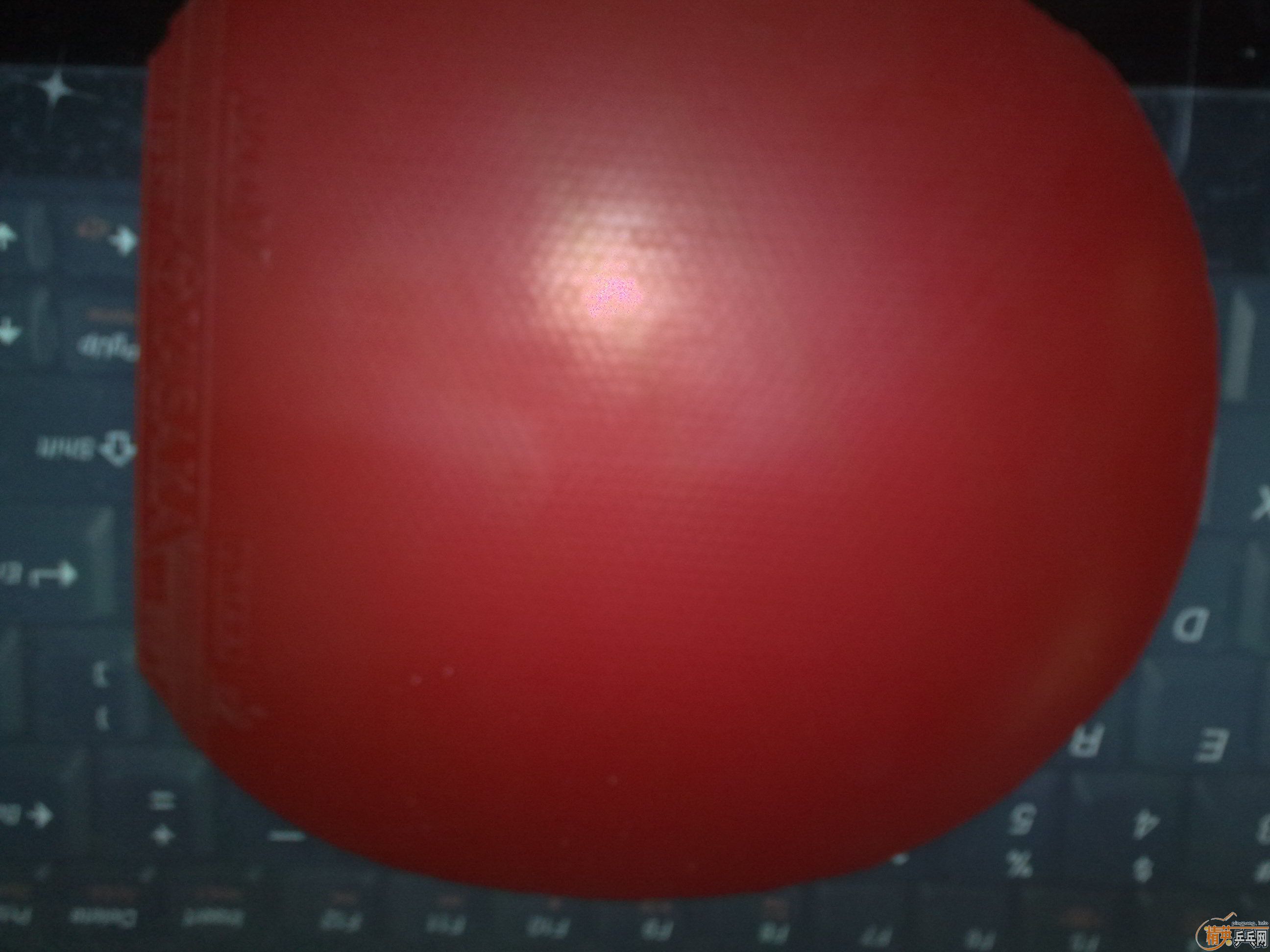 YASAKA  MARK-V��ɫ�������潺Ƥ