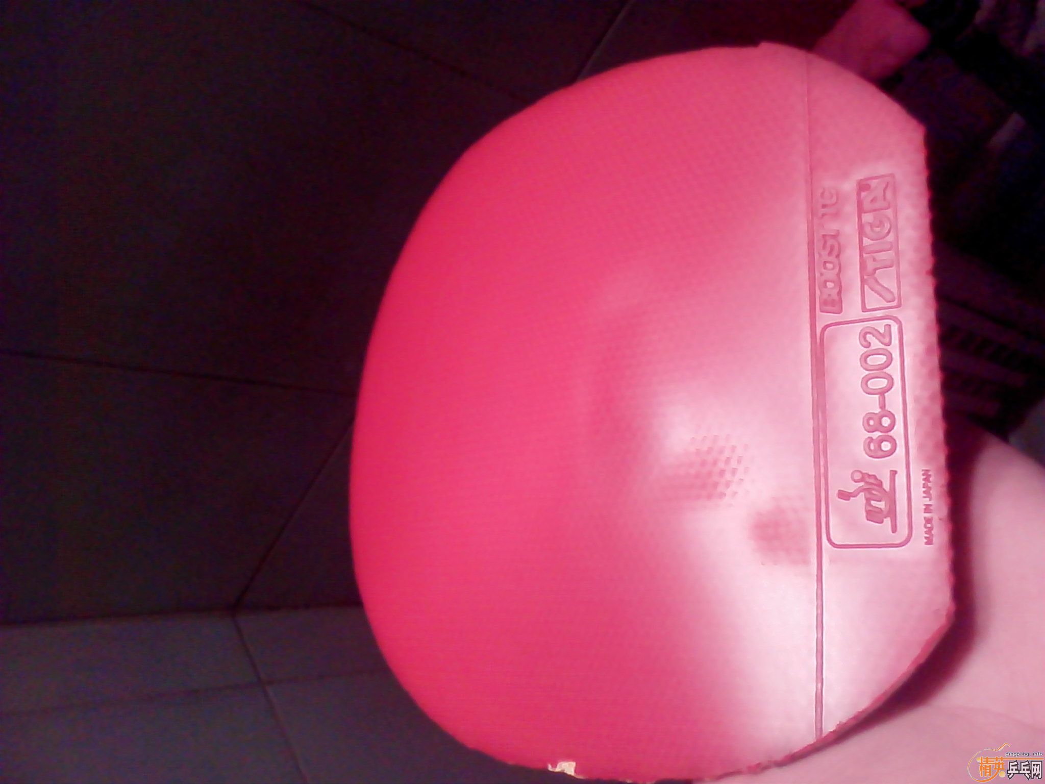 ŷ���̴�߻��壬����Ȥ�����ѽ���������