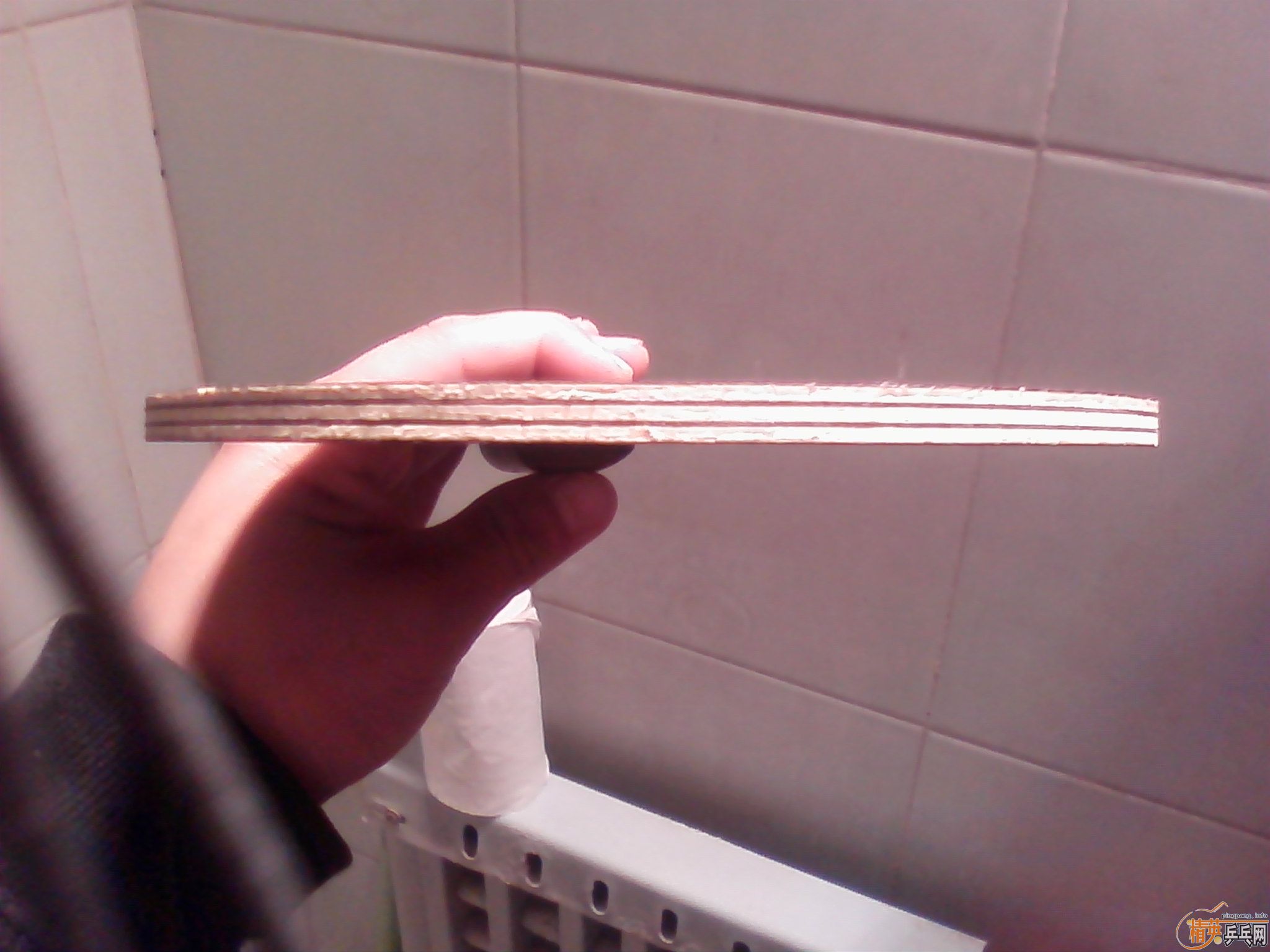 ŷ���̴�߻��壬����Ȥ�����ѽ���������