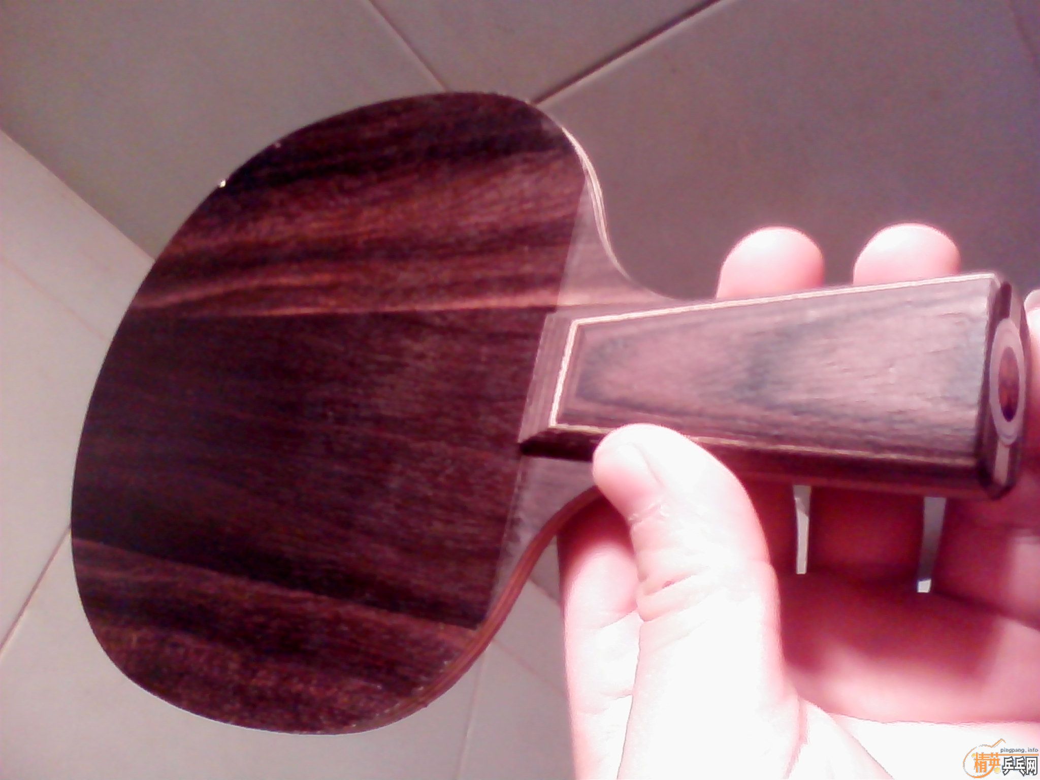 ŷ���̴�߻��壬����Ȥ�����ѽ���������