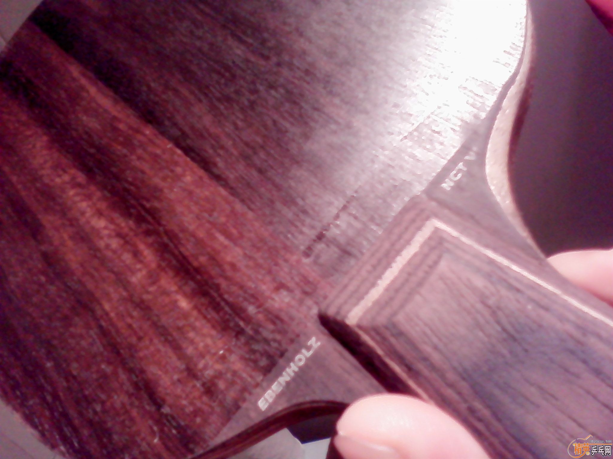 ŷ���̴�߻��壬����Ȥ�����ѽ���������