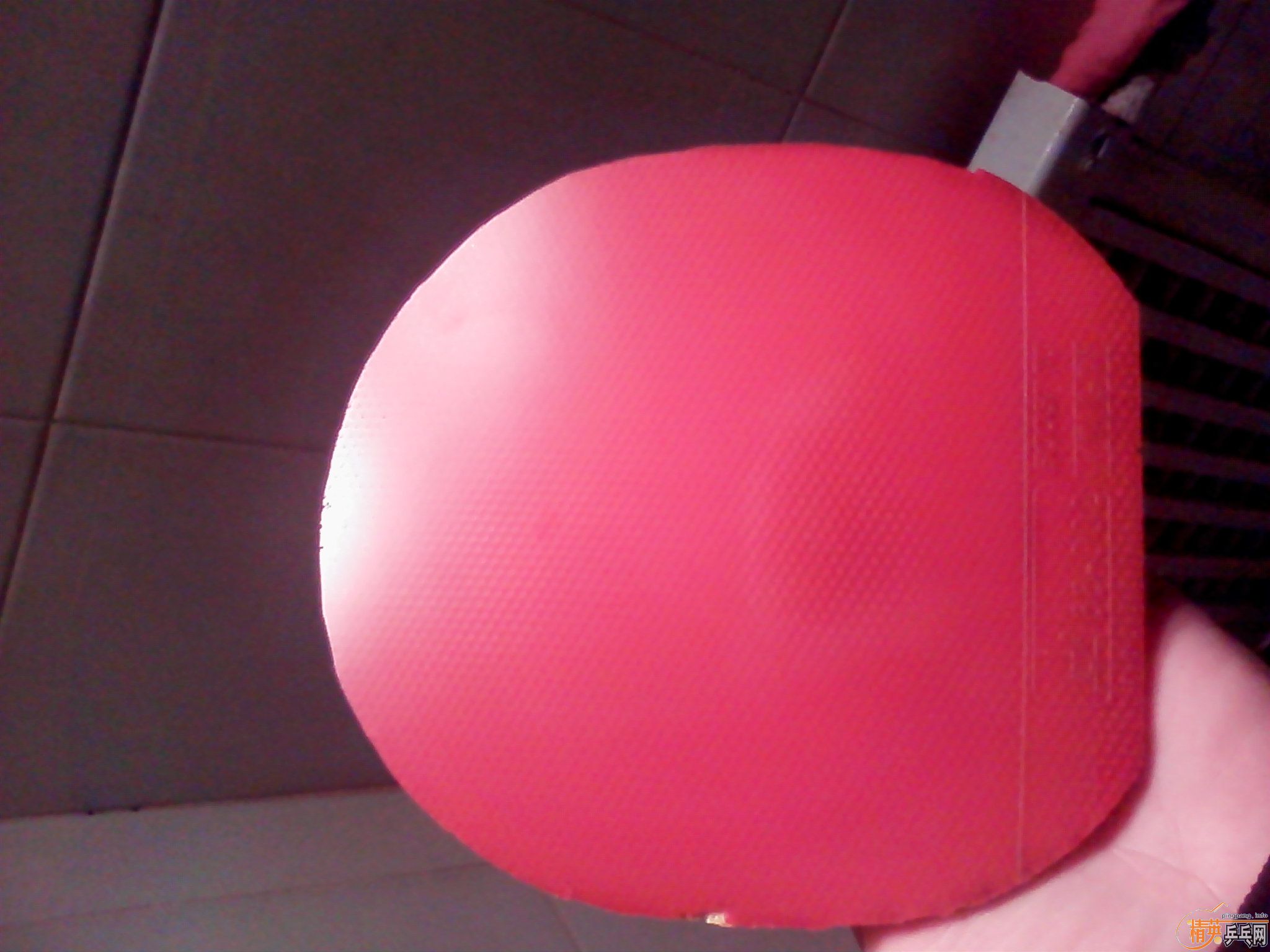 ŷ���̴�߻��壬����Ȥ�����ѽ���������