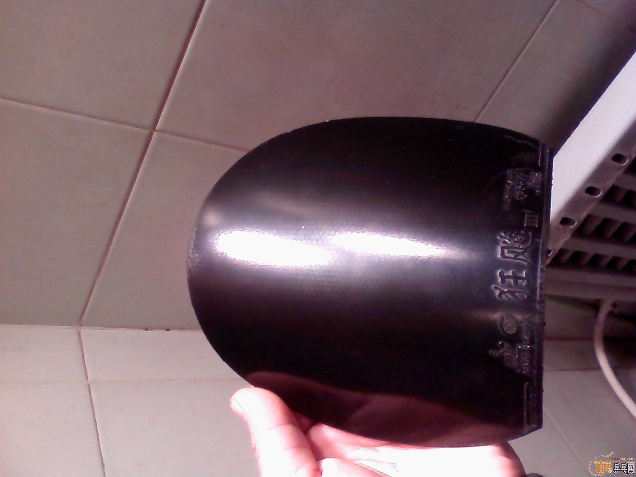 ŷ���̴�߻��壬����Ȥ�����ѽ���������