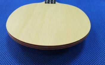 ��һ�����2�ε�ͦ����̼��