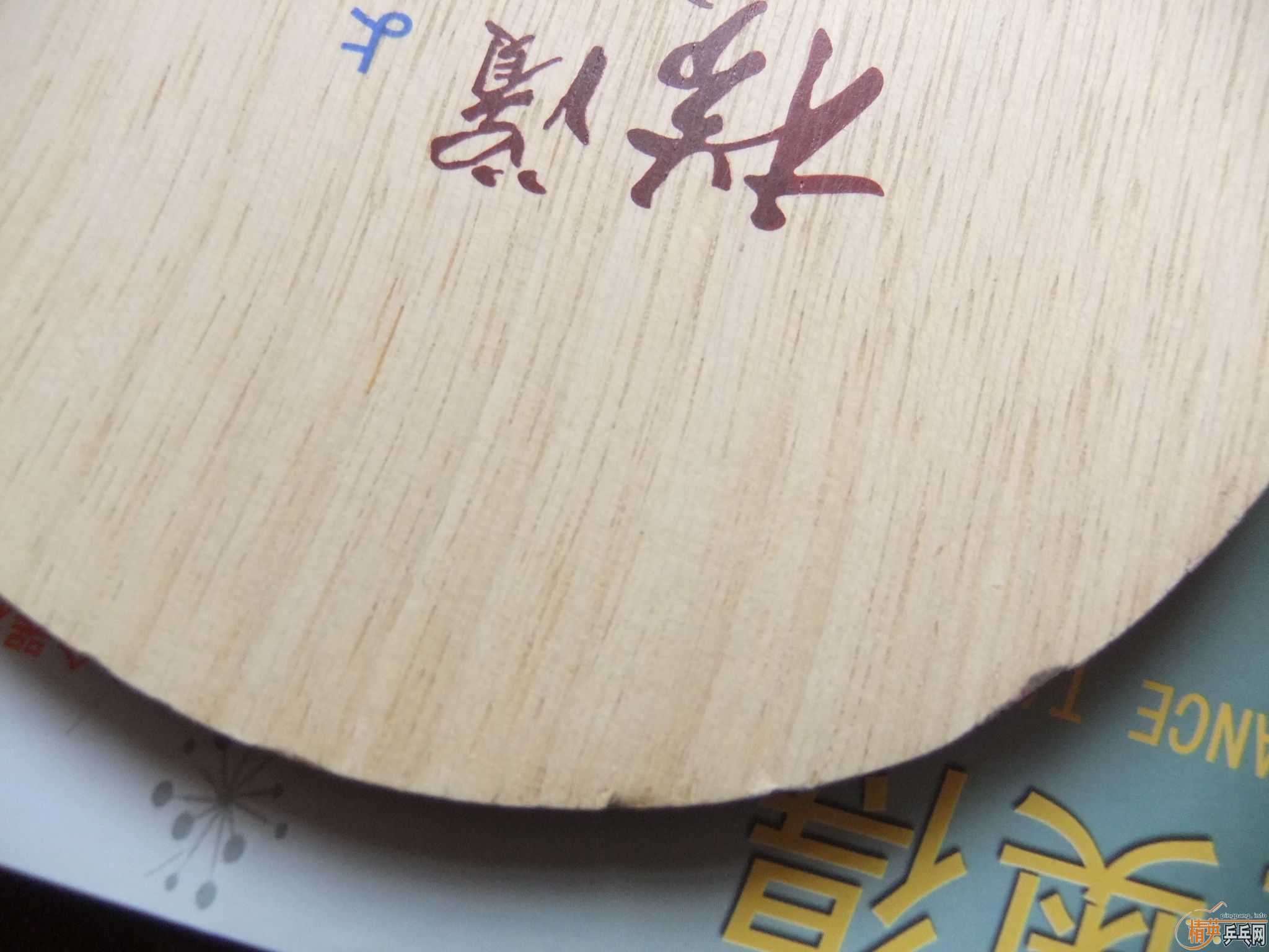 ��һ�γ����ӣ���ҰﶥŶ��