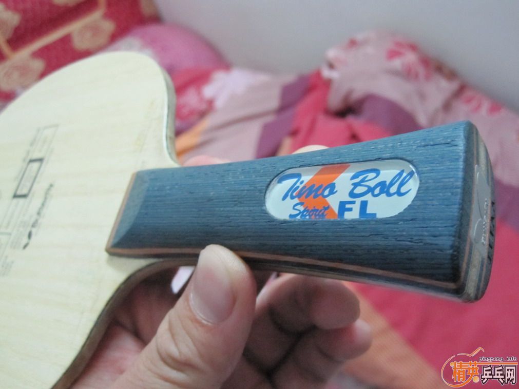 Ц�ɳ��壬Ҳ�����������۰壬�������˵�Ŀ�˭��Ŀ죬�� ST�����(����) ����ֱ ��ľ����(����)