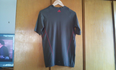 ���������ϵĶ��䣬�ٳ���������Ũ�Ķ̿㡣