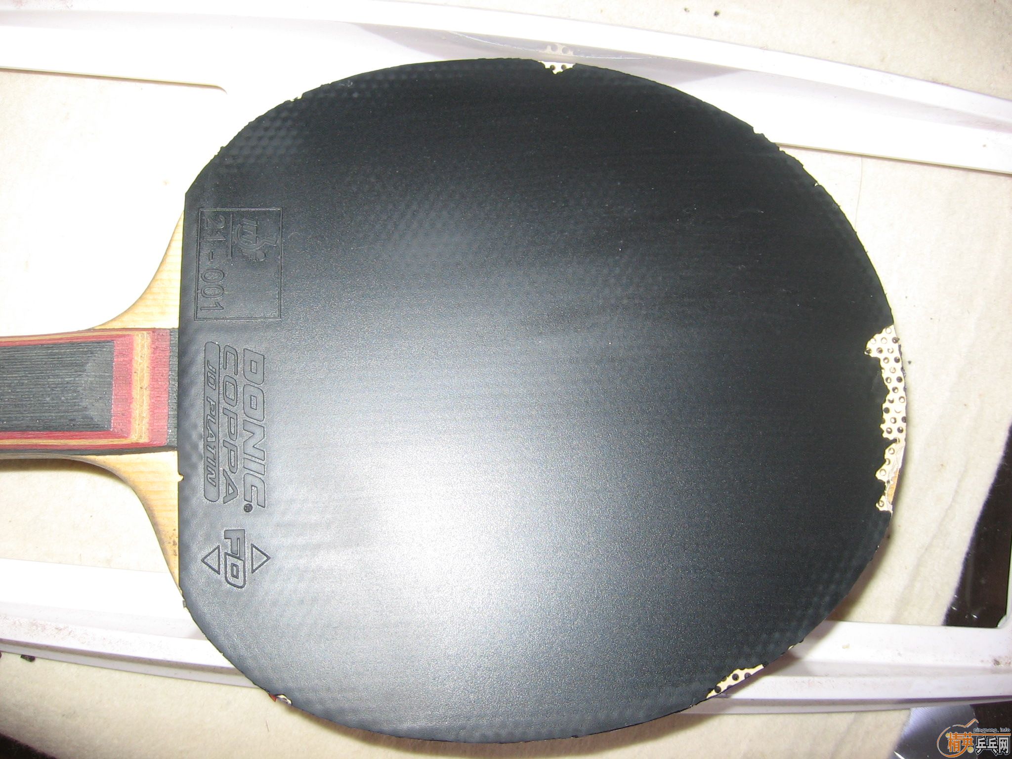 ����˲���JO ��COPPA SP    �����Կ�  ֧��֧����