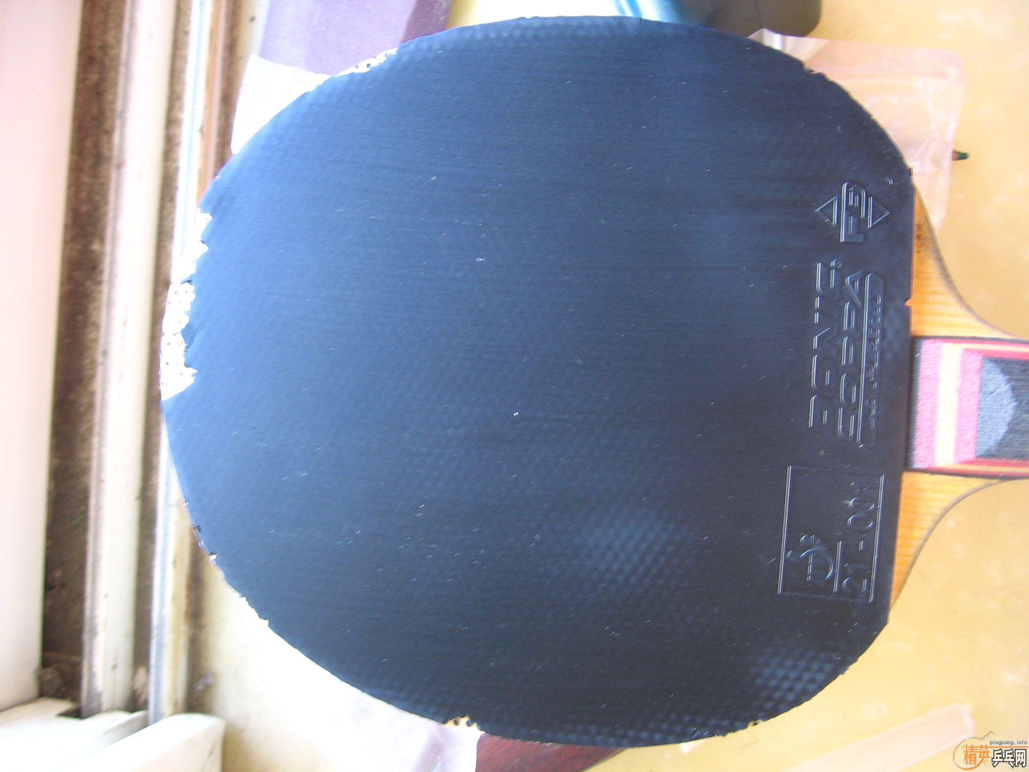 ����˲���JO ��COPPA SP    �����Կ�  ֧��֧����