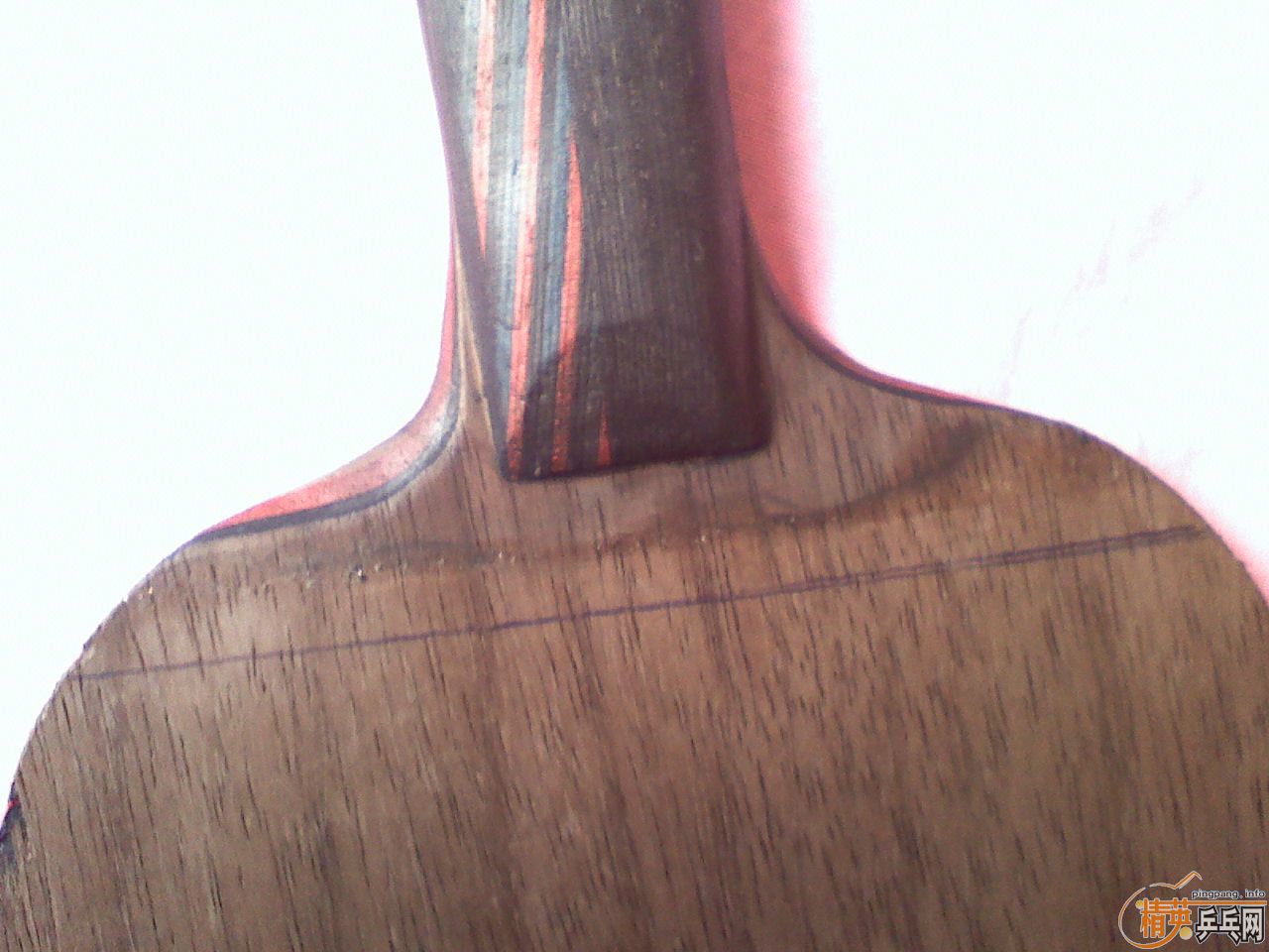 ֱ���л����̼��