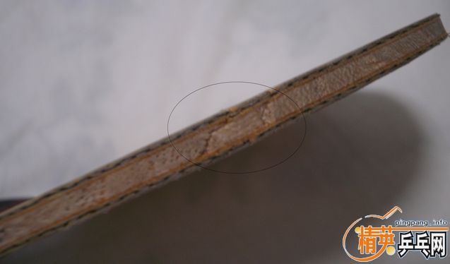 ������ˮ����FL