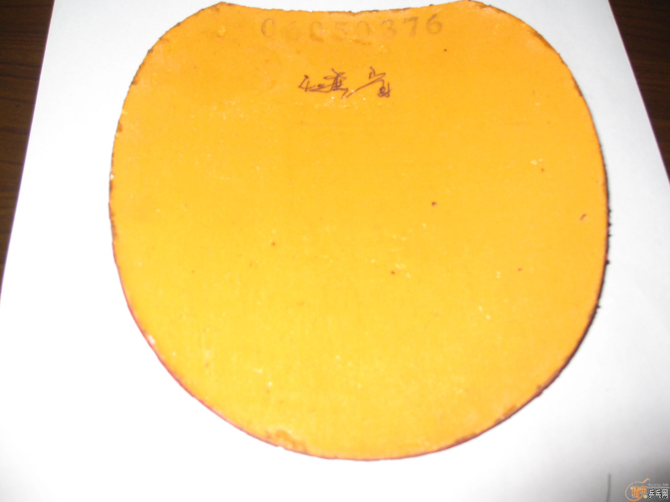 [ԭ��]��88���л�OCCRWRB�������׽�