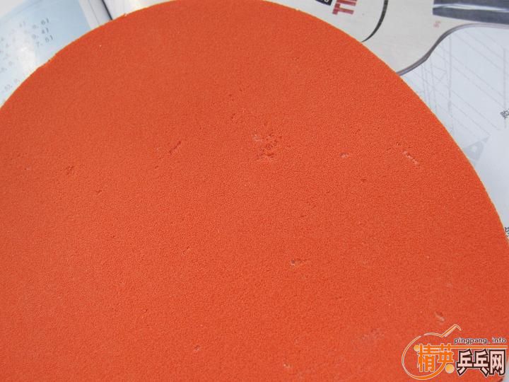 ~~~~~~����Ƭ T05 FX~~~~~~