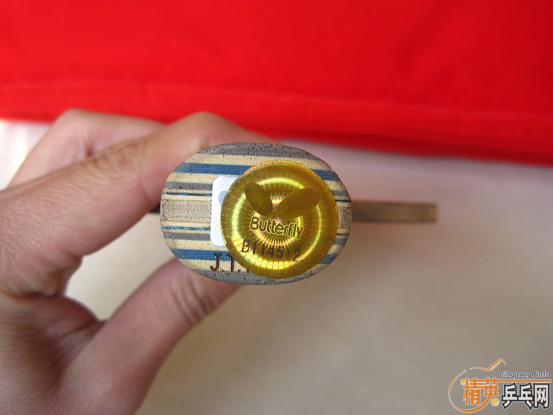 Ц�ɳ��壬�����ѳ����л� ������