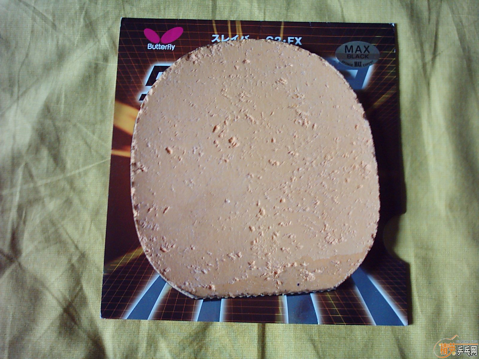 08רҵ��ѵ���ף�����G2FX������ľ��------------------------���ͼ����