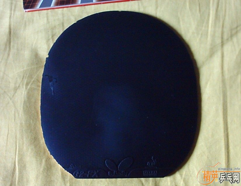 08רҵ��ѵ���ף�����G2FX������ľ��------------------------���ͼ����