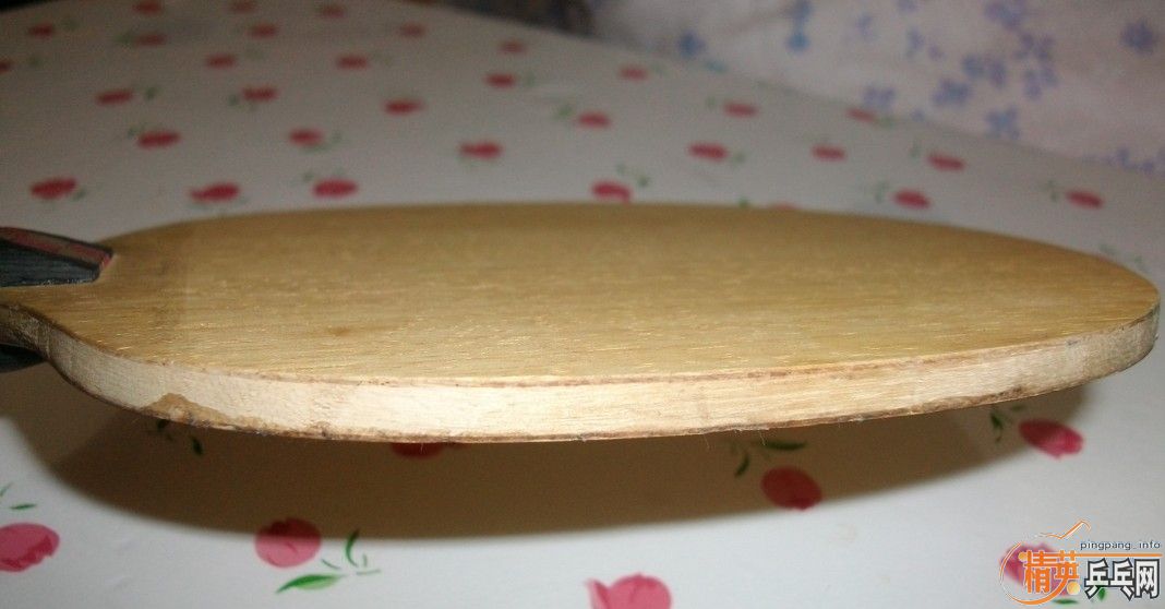 ��ѵ���塪��palio����729��������ء�������