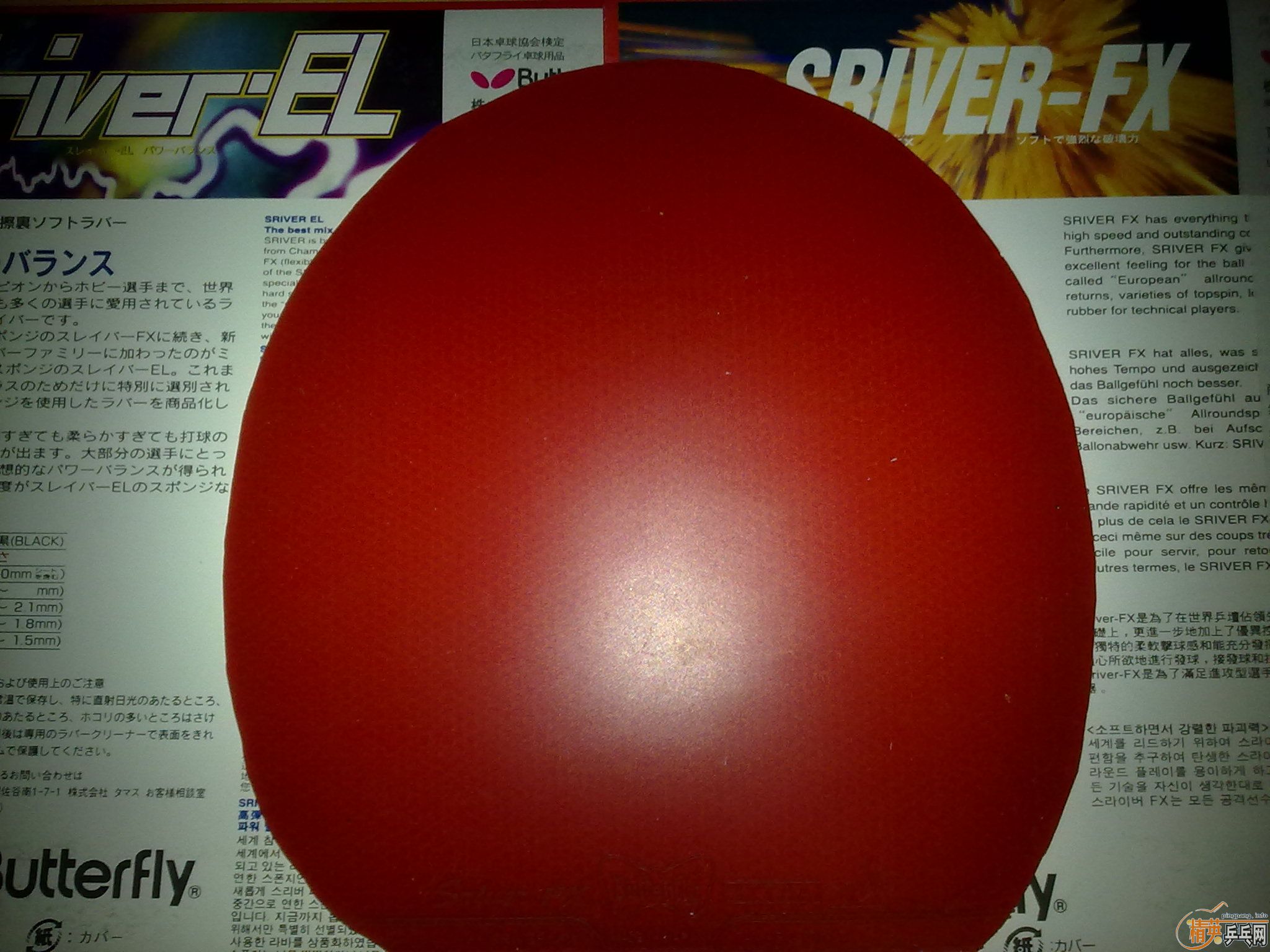 ��9������FX��EL���