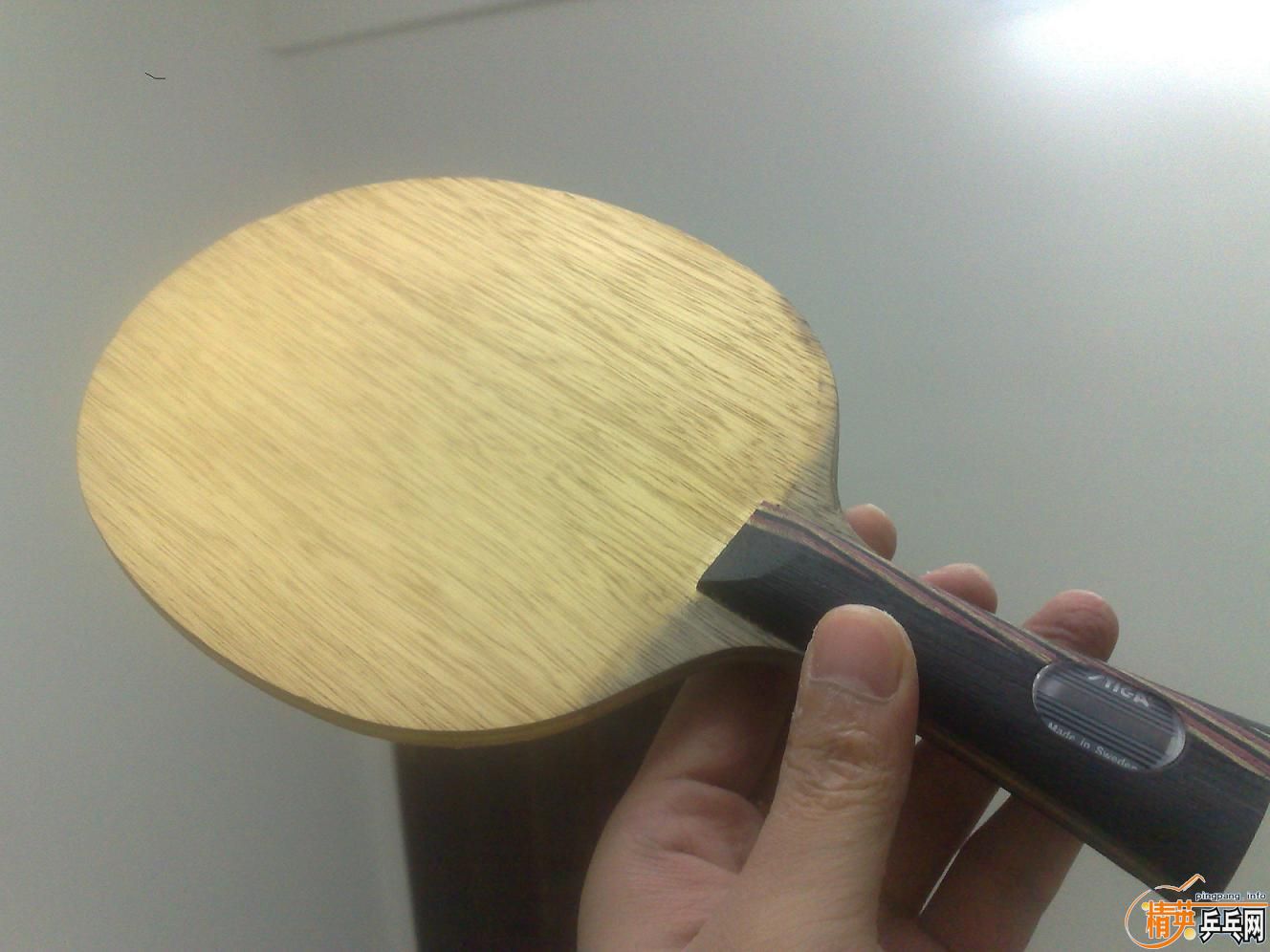 ��һֻ�����õ���˹