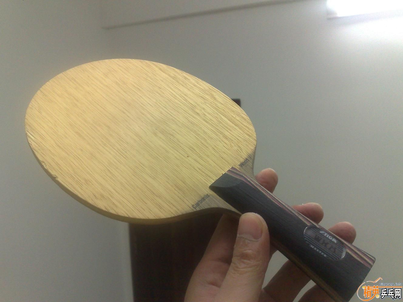 ��һֻ�����õ���˹